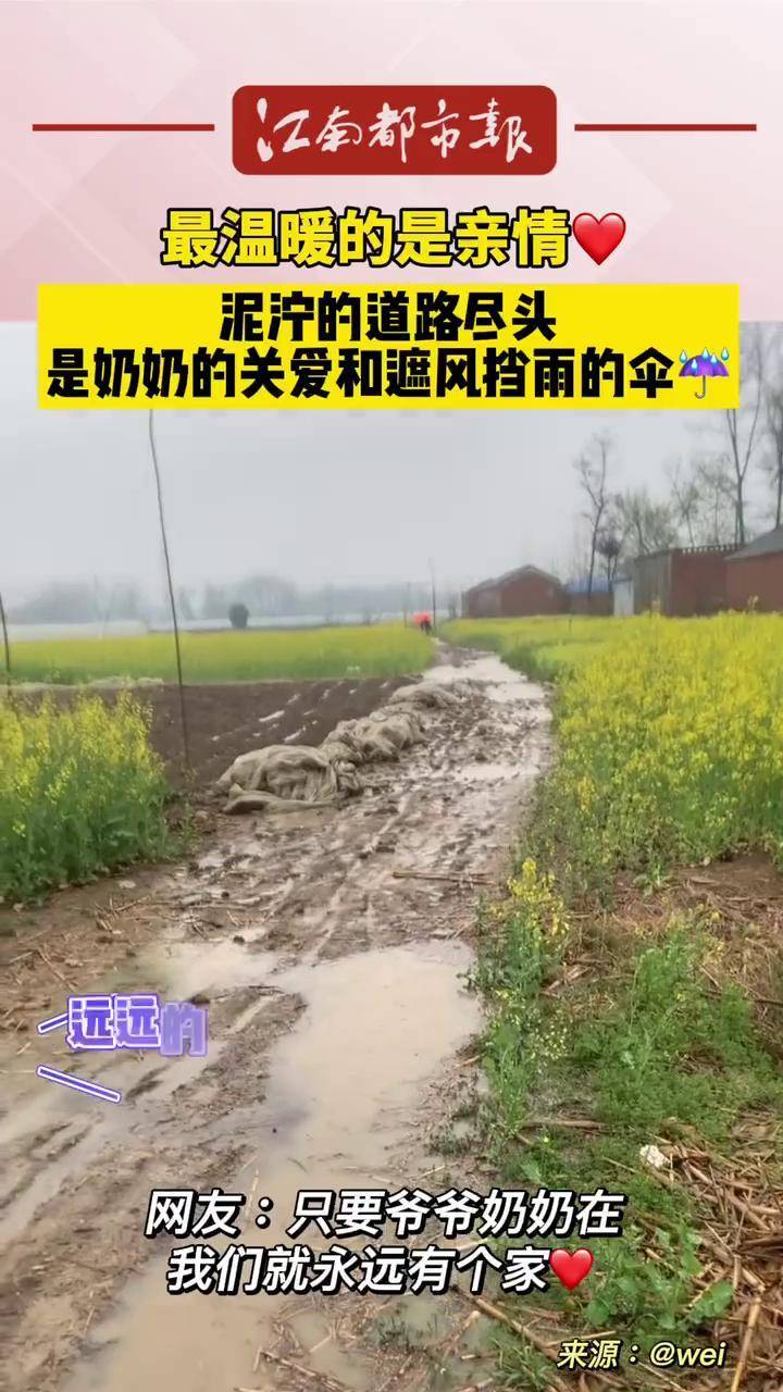 观看雨后小故事gif未删减版-花伞下的年轻女子