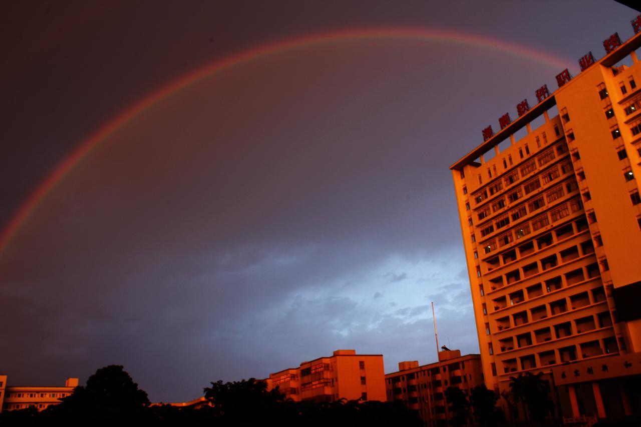 恋如雨止rain歌词_恋如雨止2018_恋如雨止电影原声