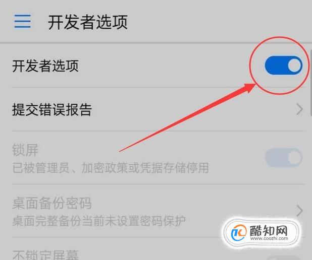 小米开发者选项在哪里miui13_小米开发者选项模式_miui开发者选项设置技巧