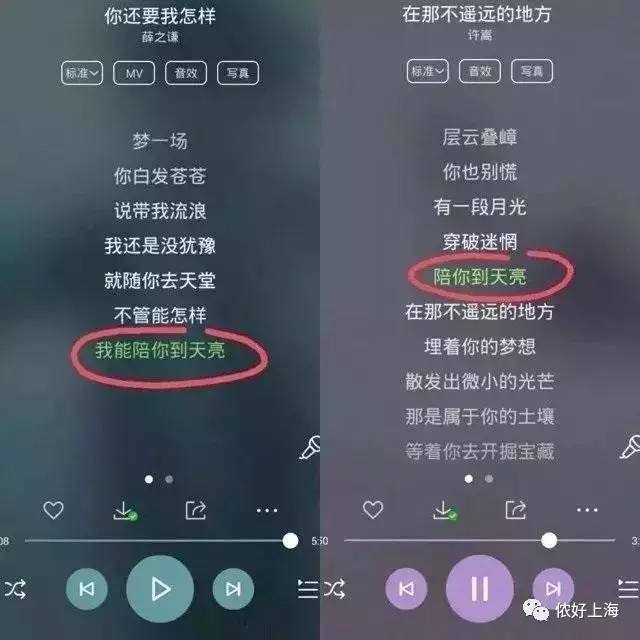 千层套路歌词_套路歌词是什么意思_套路这首歌