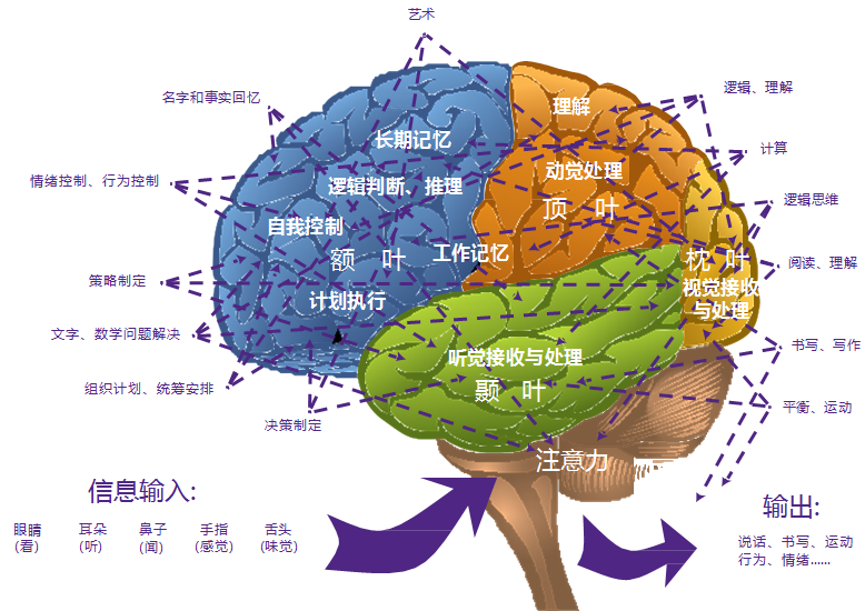 哈佛大学在线课程官网_哈佛f5_哈佛h6