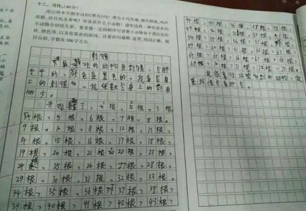 字数统计工具_在线字数统计工具_字数统计工具app下载