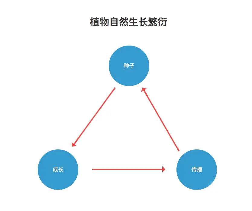 植物家得女儿_植物学家的女儿主题曲_植物学家的女儿在线