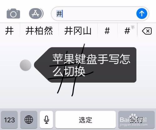 手写苹果输入手机可以输入吗_苹果手机可以手写输入吗_苹果打字可以手写输入