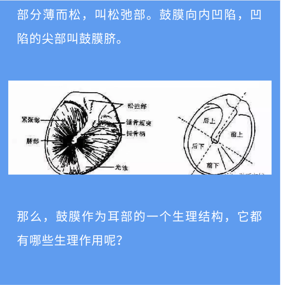 心灵链环小说结局_心灵链环轻小说_心灵链环