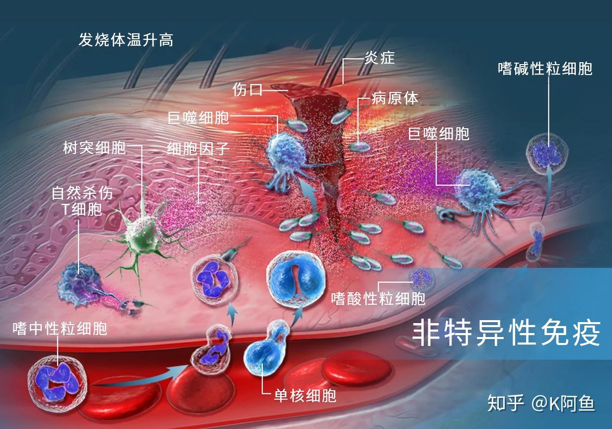 异常感染bug_异常感染cg_异常感染