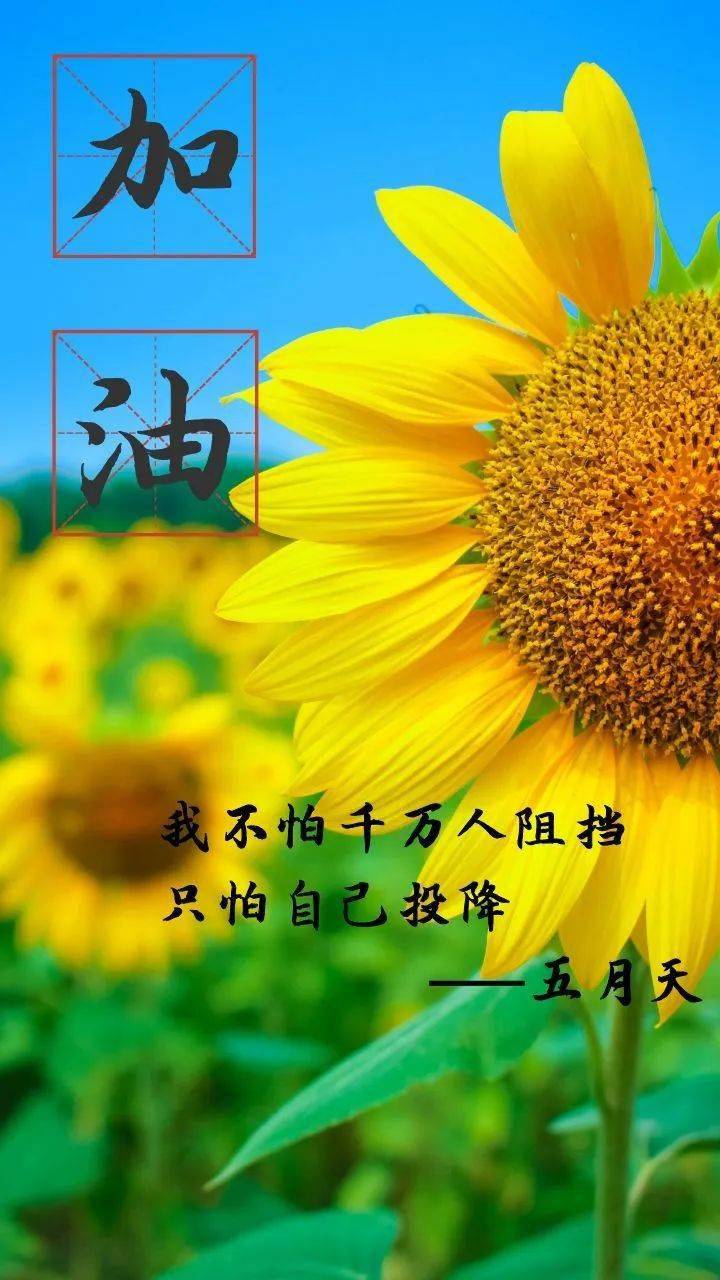 月年2023年_那年有润月年_2015年10月12日