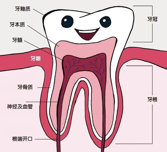 劈山大师破解_破解大师官网_破解大师下载