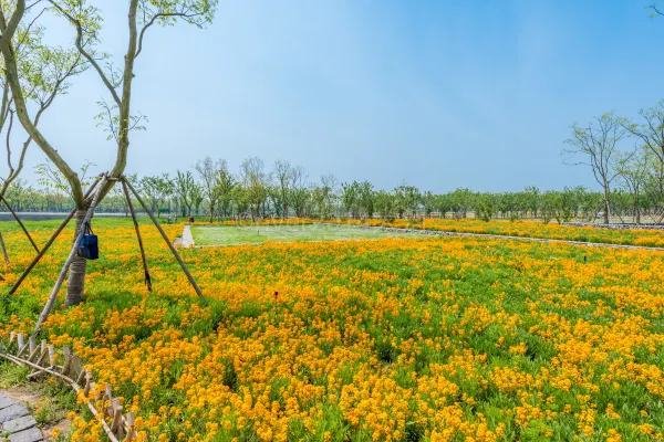 春暖花开地址_春暖花开旧地址_春暖花开cc地址