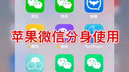 微信分身苹果版2020_分身微信苹果版免费_苹果微信分身版ios