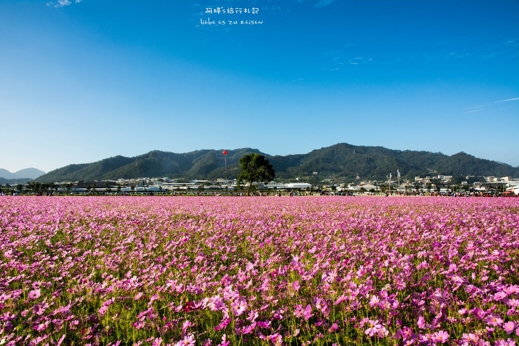 花漾app是诈骗软件无法提现_花漾app诈骗_花漾app