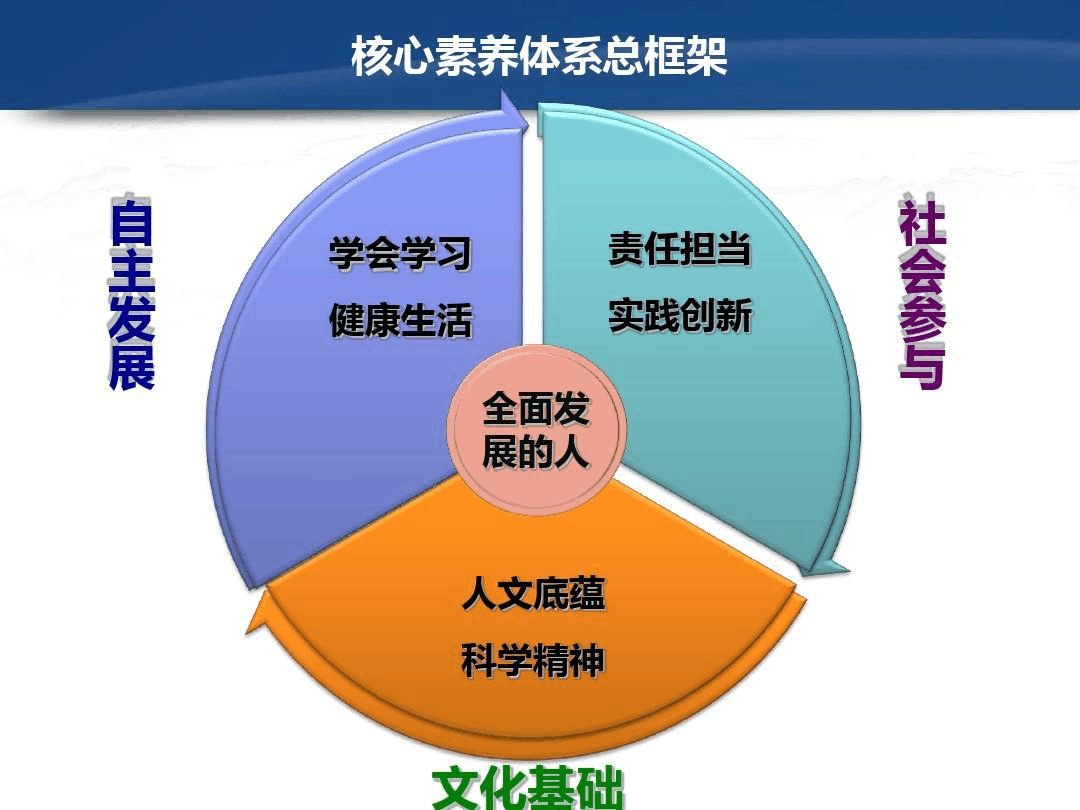 51素养_素养是什么意思_素养导向的课堂教学