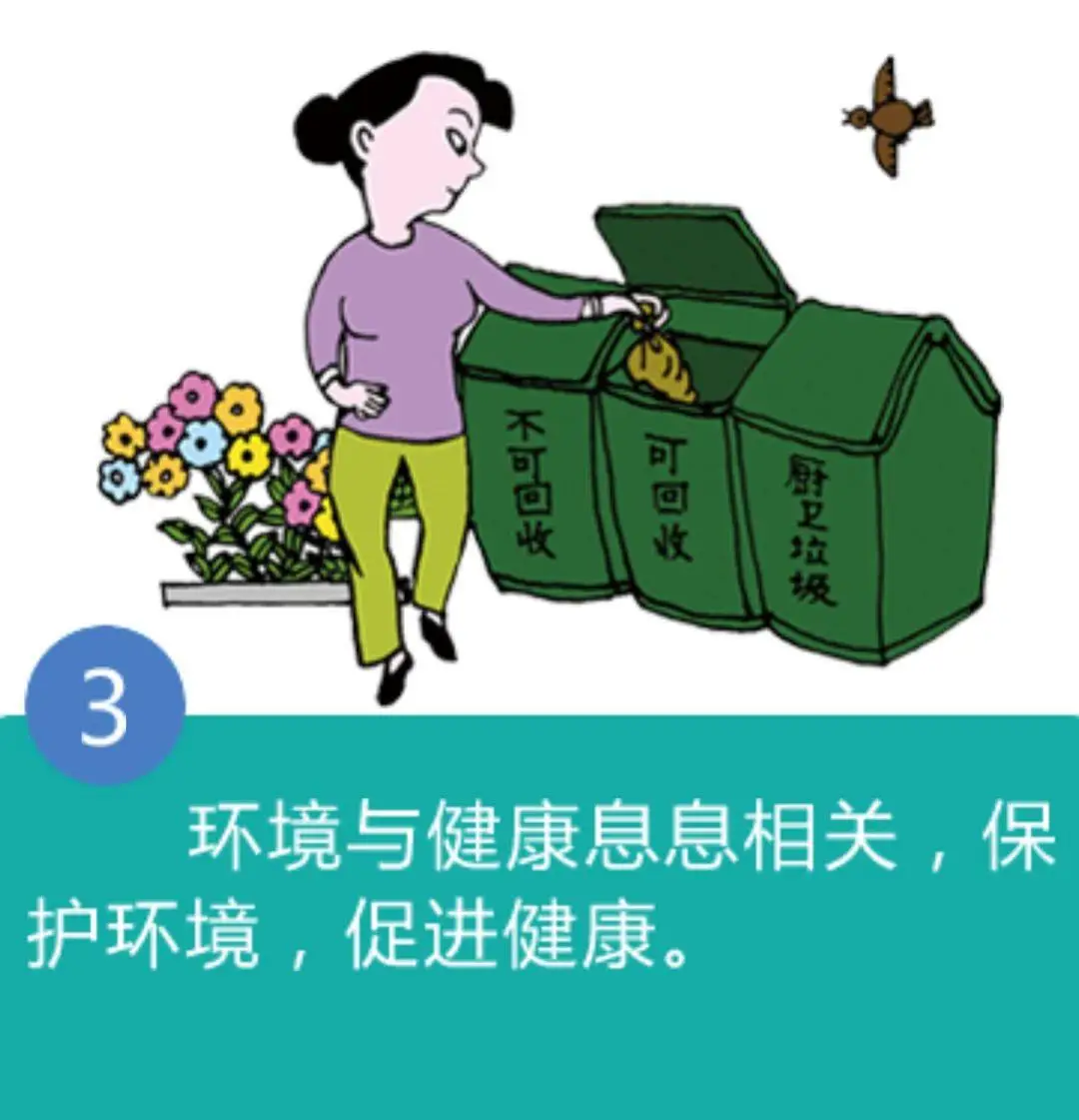 素养导向的课堂教学_素养是什么意思_51素养