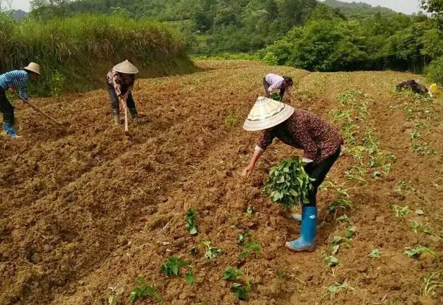 异世界悠闲农家人物介绍_重生悠闲农家txt书包网_随身空间之悠闲农家