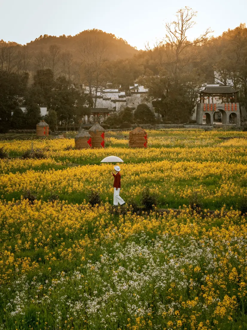 通灵王flowers_通灵王FLOWERS第11集_通灵王FLOWERS第10集