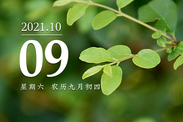 生肖年份2023_2023是属于什么生肖年_2023年属相是什么生肖