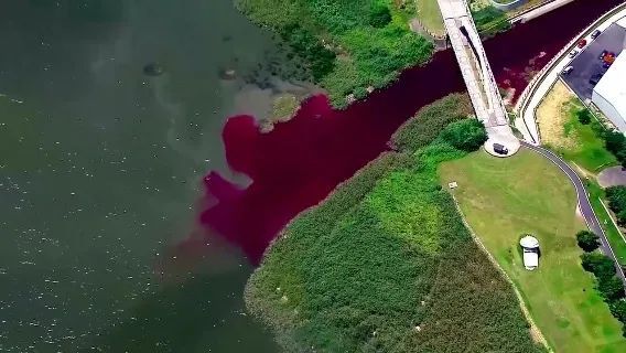 唐山大地震时间多长_唐山大地震时间是几点_唐山大地震时间