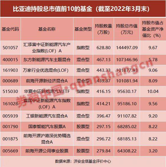 大q宝_饭宝奇兵大饭宝之歌_宝大奇雅自行车怎么样