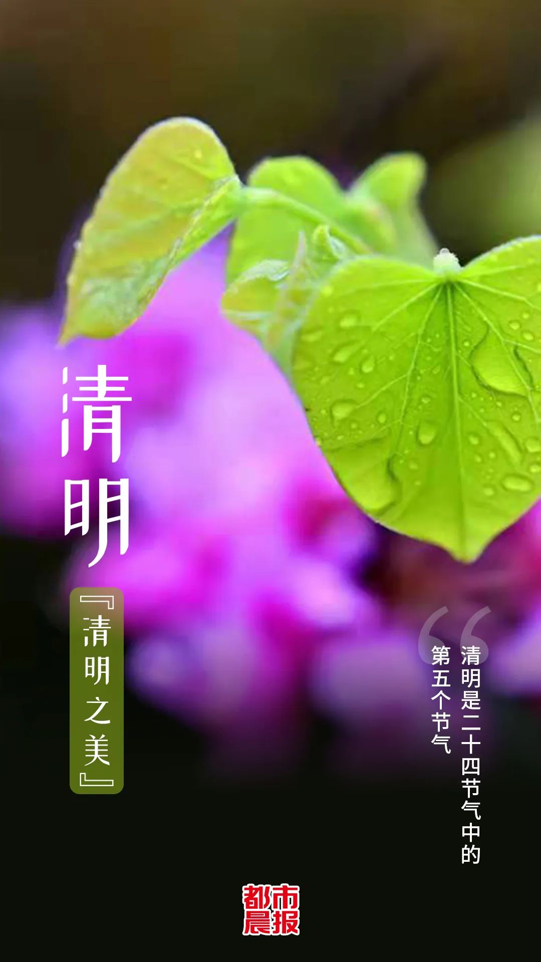 清明时节_时节清明过_时节清明的意思是什么