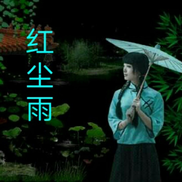 雨石_周雨石_花雨石