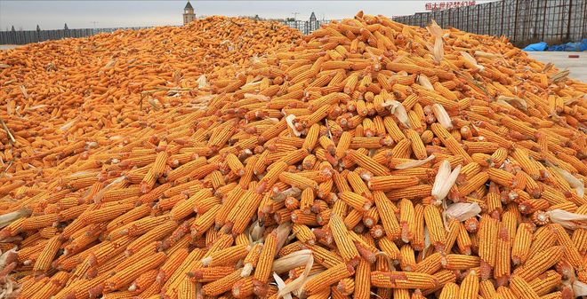 定义量化推导证明英文怎么说_定义变量java_java定义常量