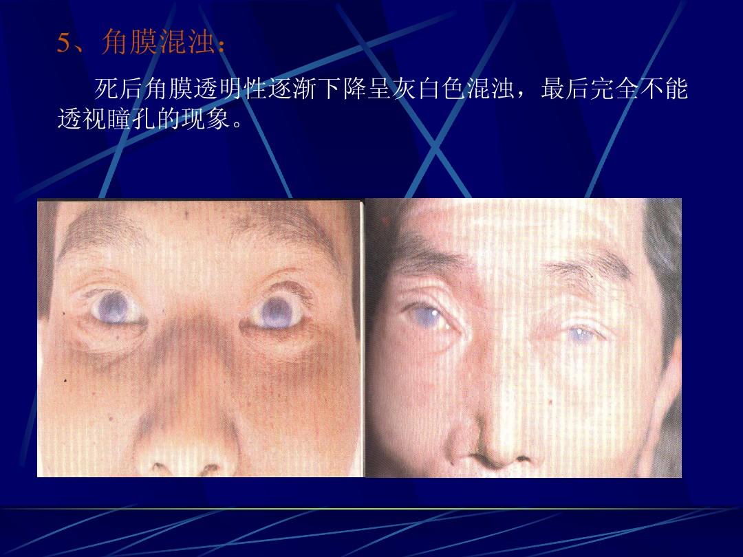 这不科学啊_科学发展观_科学用英语怎么说