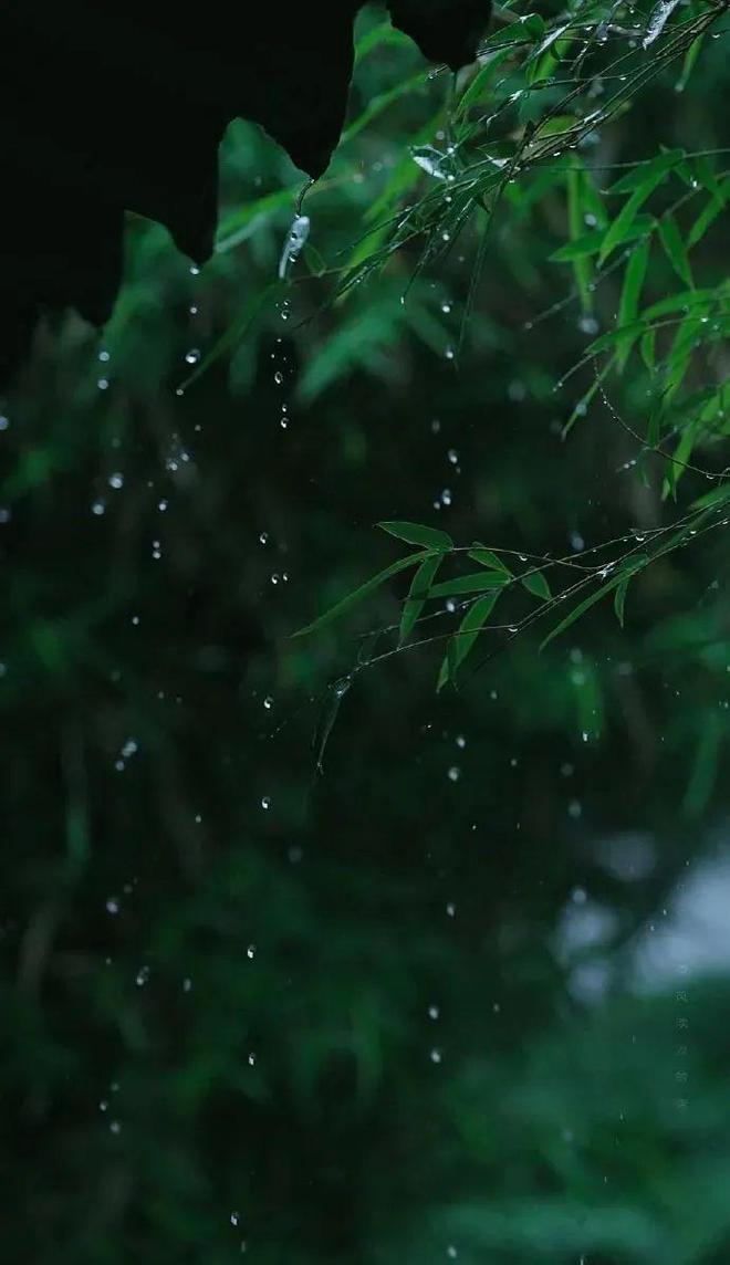 梅雨季节是什么时间_梅雨季节的时间_梅雨季节具体时间