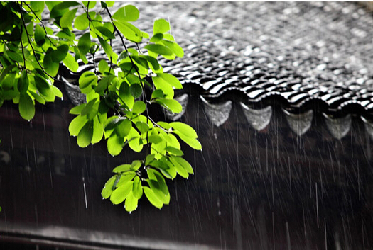 梅雨季节是什么时间_梅雨季节的时间_梅雨季节具体时间