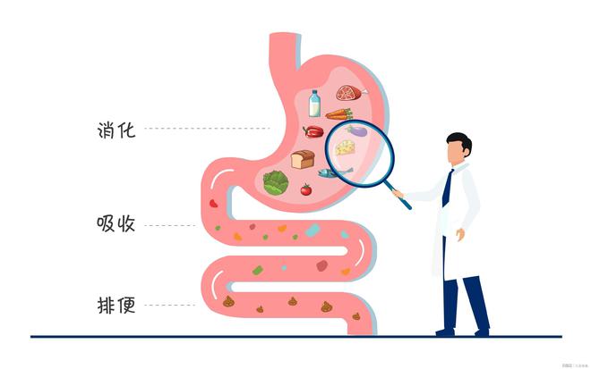 吃掉胰脏结局_吃胰脏有什么不好_我要吃掉你的胰脏