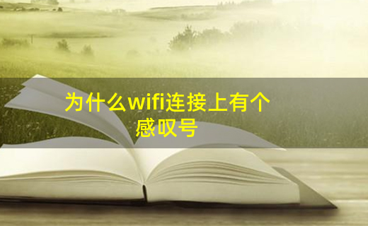 连接网络上网_网络上不上怎么办_网络连上却上不了网怎么回事