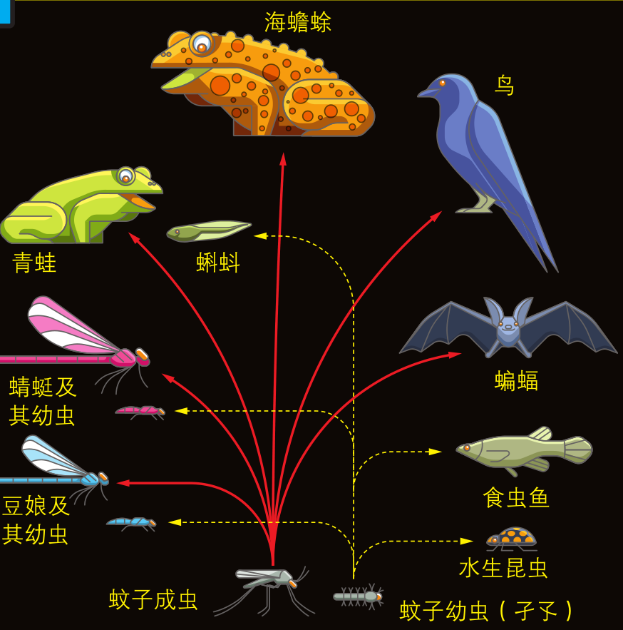 地球生态系统有哪些_地球三大生态系统_地球生态系统可分为哪三类