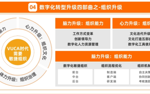 爱眼日主题活动_爱眼日主题_爱眼日主题内容