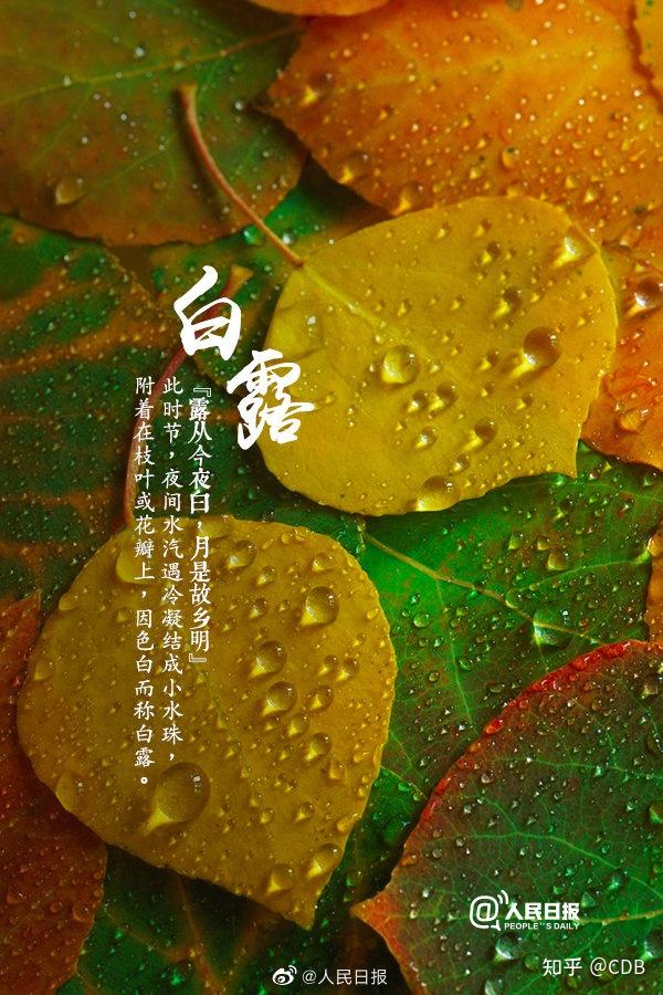 白露是几月几日_白露是月头_白露月出头