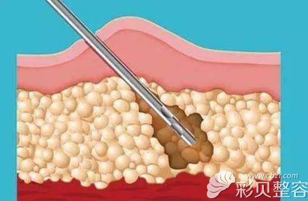 主网上线后多久可以交易_主网上线_pi为什么迟迟不上主网