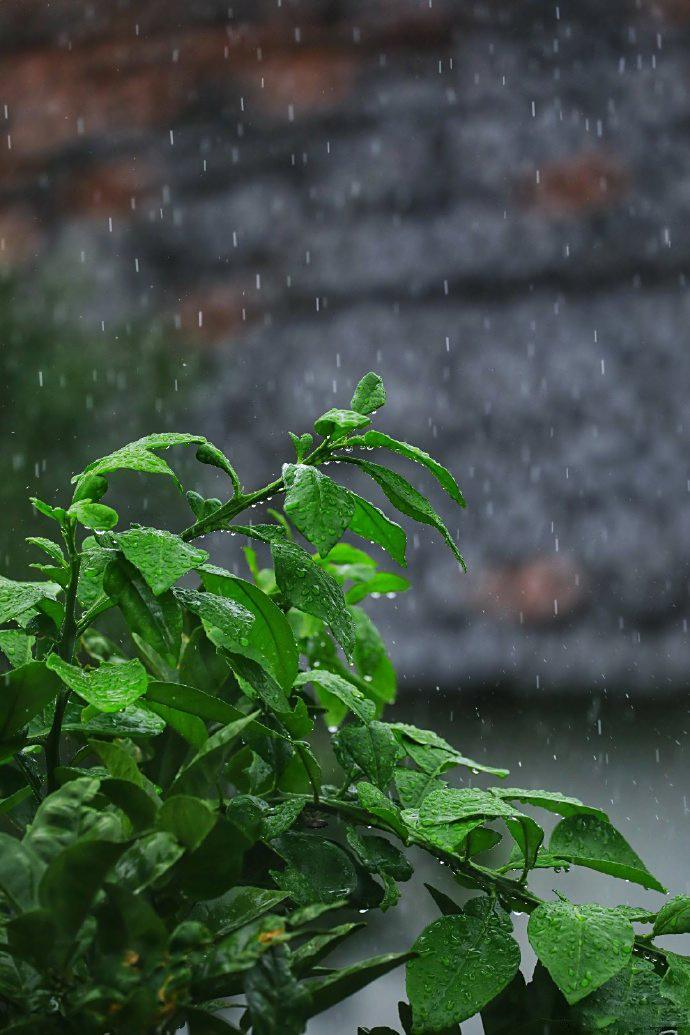 南京梅雨季节在几月份_南京梅雨季节_梅雨季节南京