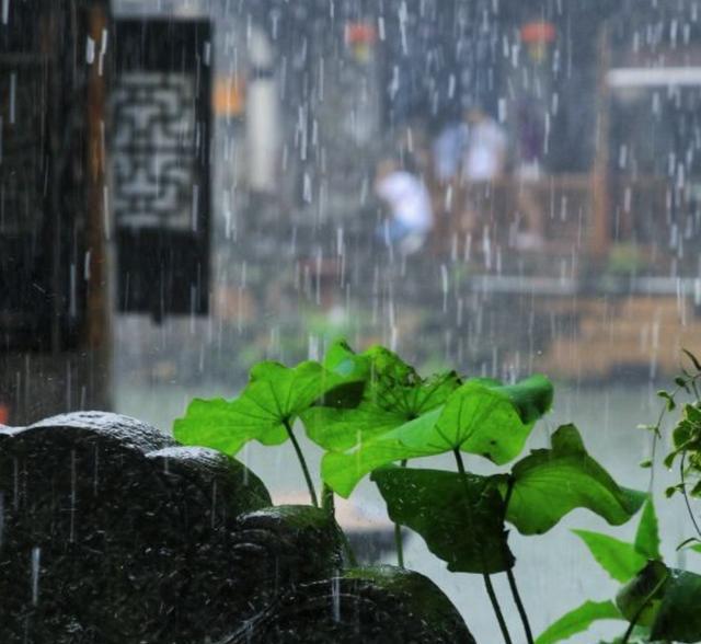 南京梅雨季节在几月份_梅雨季节南京_南京梅雨季节