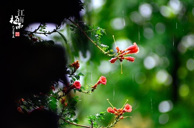 梅雨季节南京_南京梅雨季节_南京梅雨季节在几月份