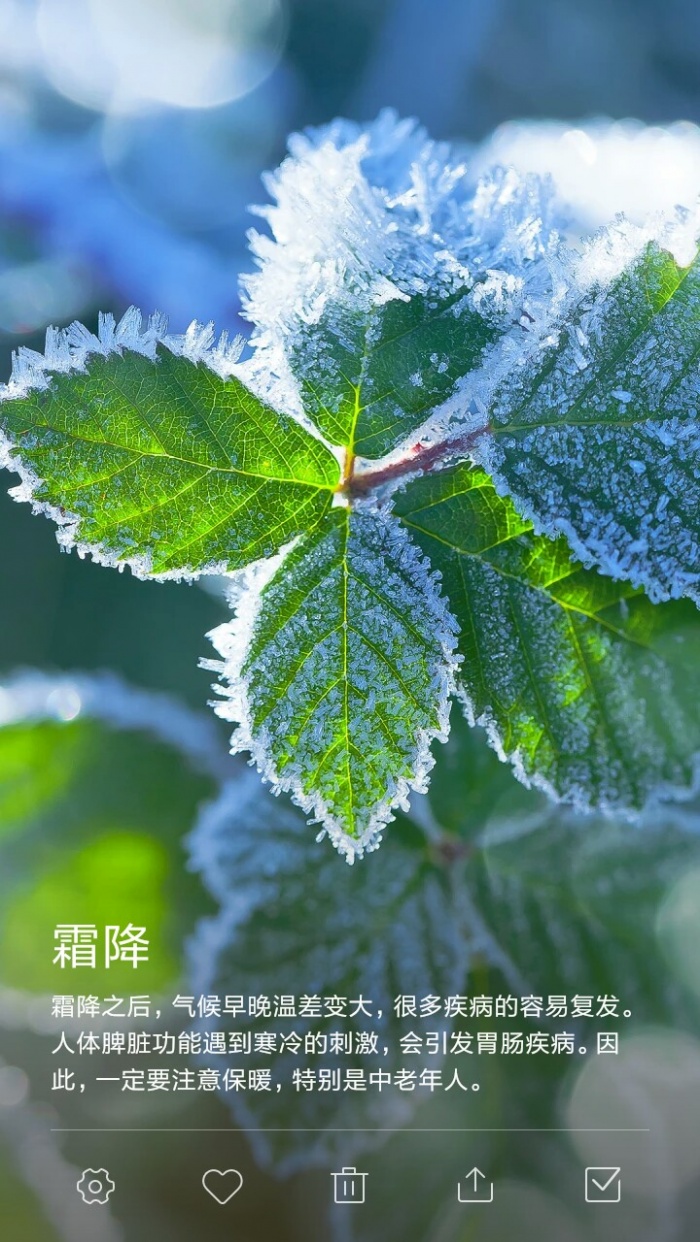 霜降是哪月哪日_霜降是几月几日_霜降月亮