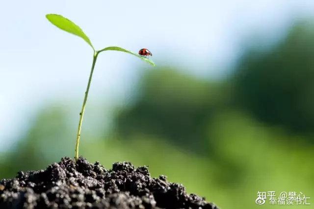 学校电脑怎么摆脱控制_摆脱电脑控制学校的软件_电脑课摆脱控制