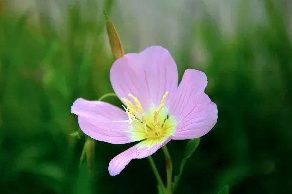 今天节气_节气今天是几九_节气今天的