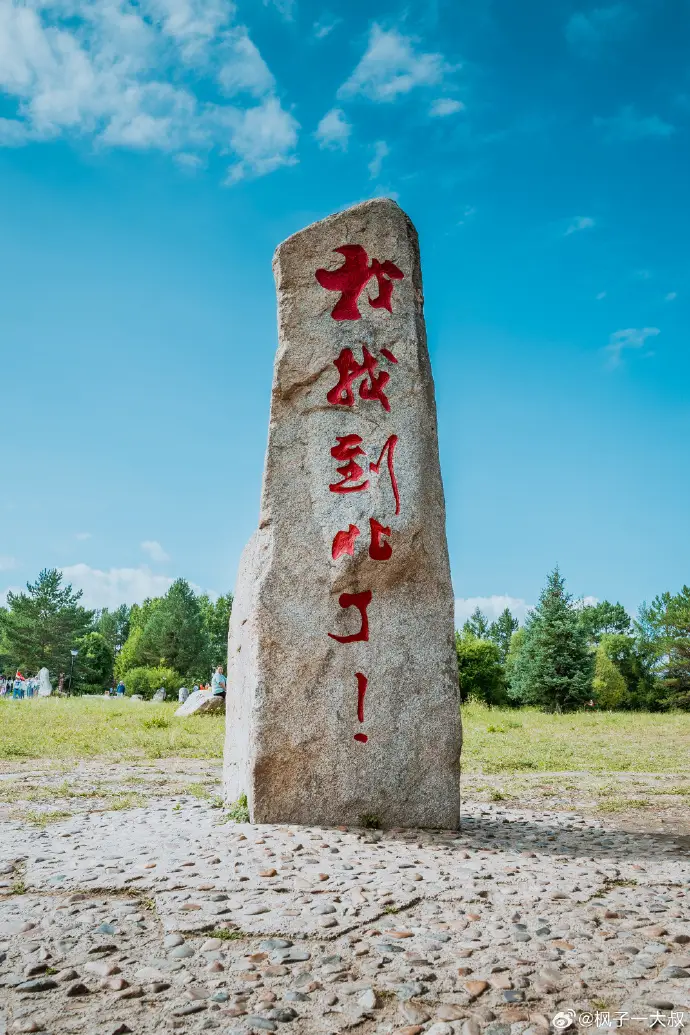 调查团票大_调查团票大_调查团票做什么