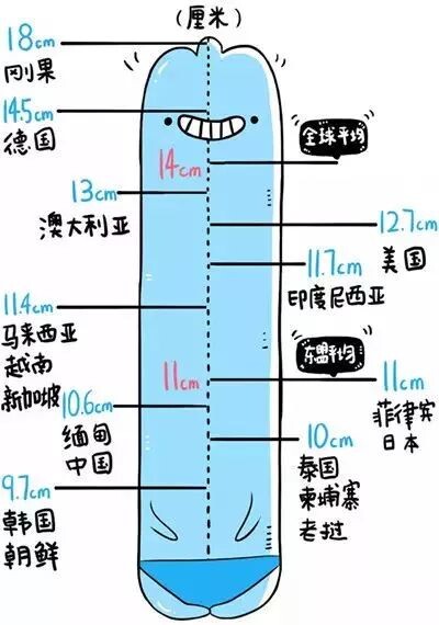 手机长度几厘米_手机长度多少厘米_手机长几厘米