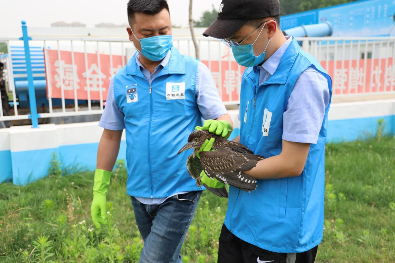 老虎头图片_卡通老虎头图片_老虎头图片涂色大全