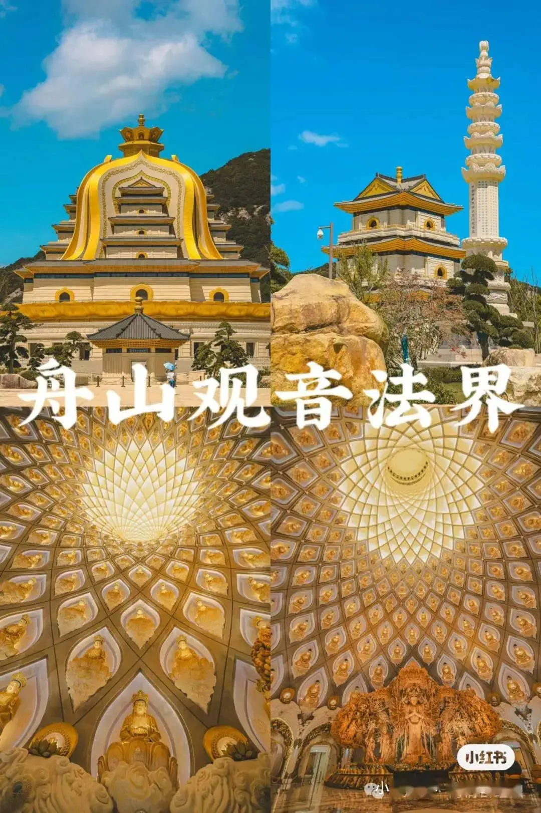 迪波之巢_迪波之巢_迪波之巢
