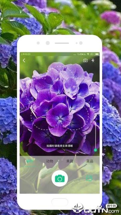 识花软件叫什么名字_识花软件_识花软件哪一种比较好