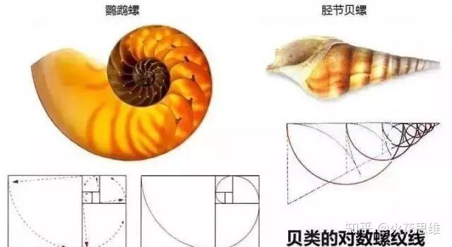 数列斐波那契数列前40个数_数列斐波那契数列_python斐波那契数列