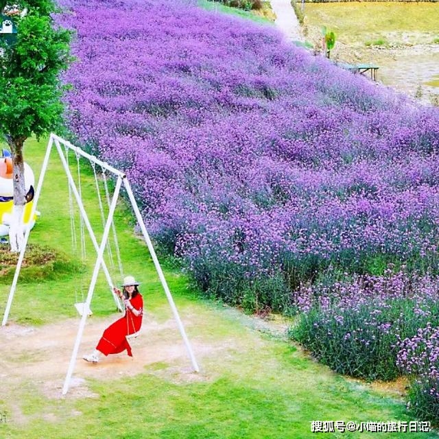 夏梦渚_夏梦渚_夏梦渚