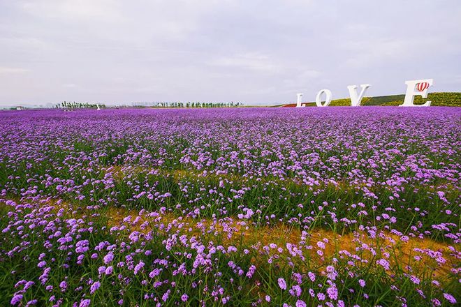 夏梦渚_夏梦渚_夏梦渚