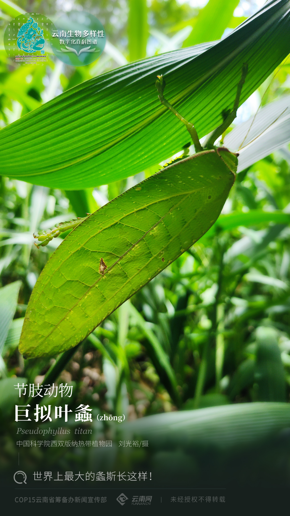 二维码联图网_联图二维码_二维码生成联图