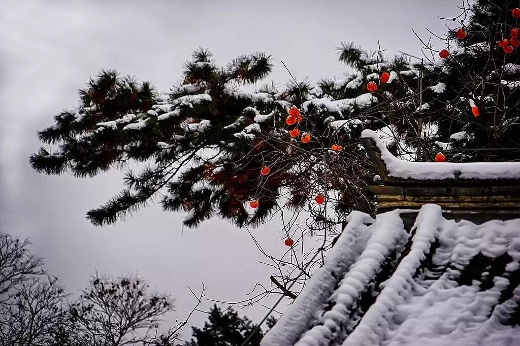 今年冬天很冷_今年冬天冷吗_今年的冬天特别冷下一句